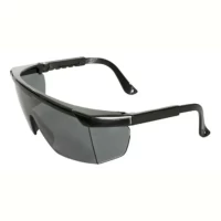 Foto principal de Anteojo De Seguridad Libus Argon Protector Hc Uv Gris