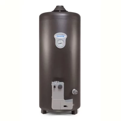Imagen principal del producto: Termotanque Multigas 80 Litros Escorial Geiser